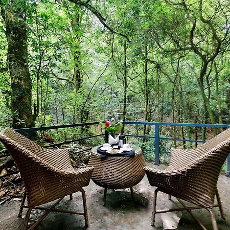 Ayar Jungle Resort Nainital Eksteriør bilde