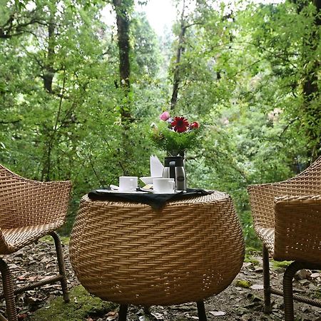 Ayar Jungle Resort Nainital Eksteriør bilde