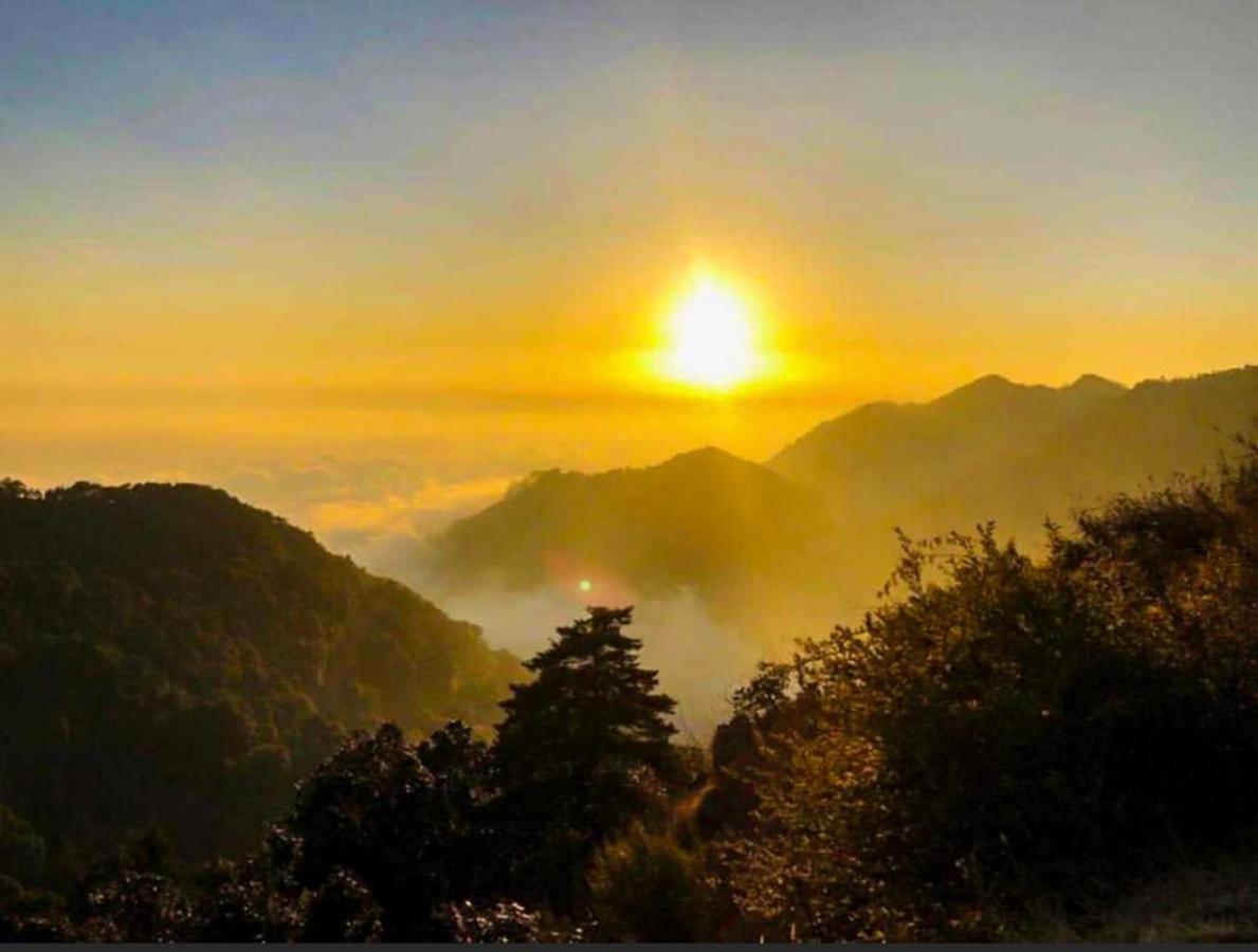 Ayar Jungle Resort Nainital Eksteriør bilde