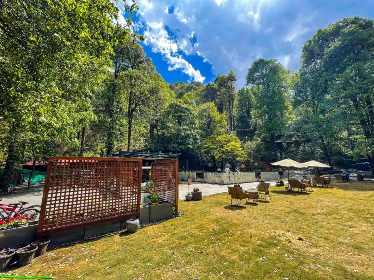 Ayar Jungle Resort Nainital Eksteriør bilde