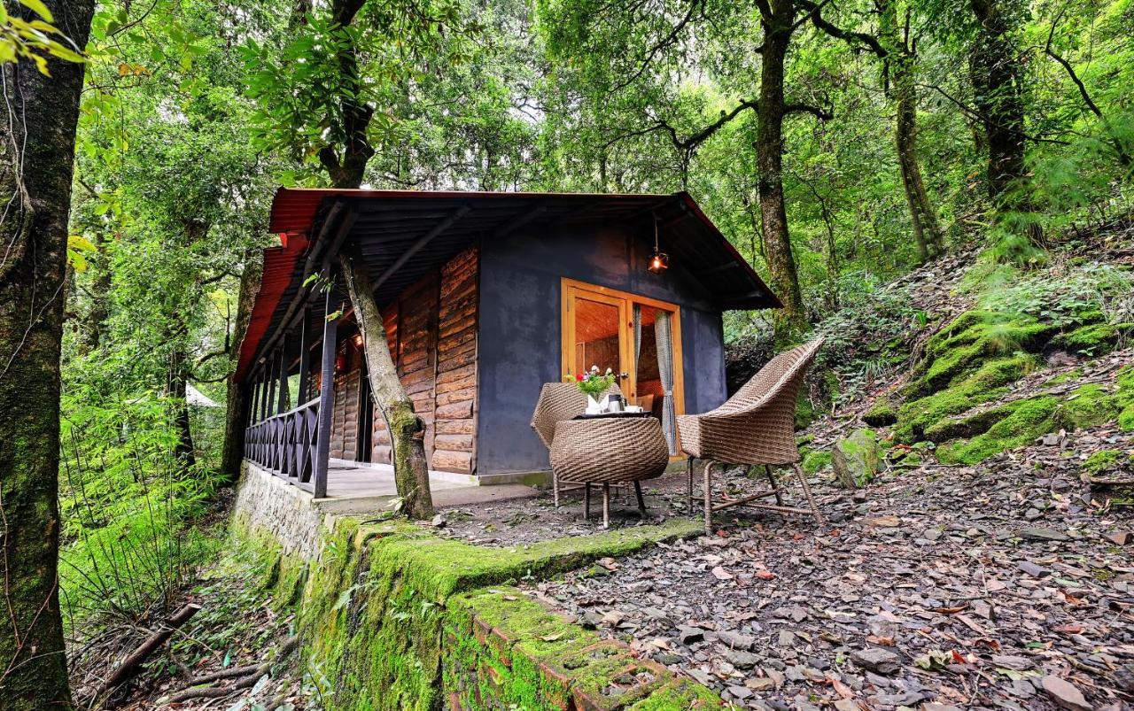 Ayar Jungle Resort Nainital Eksteriør bilde