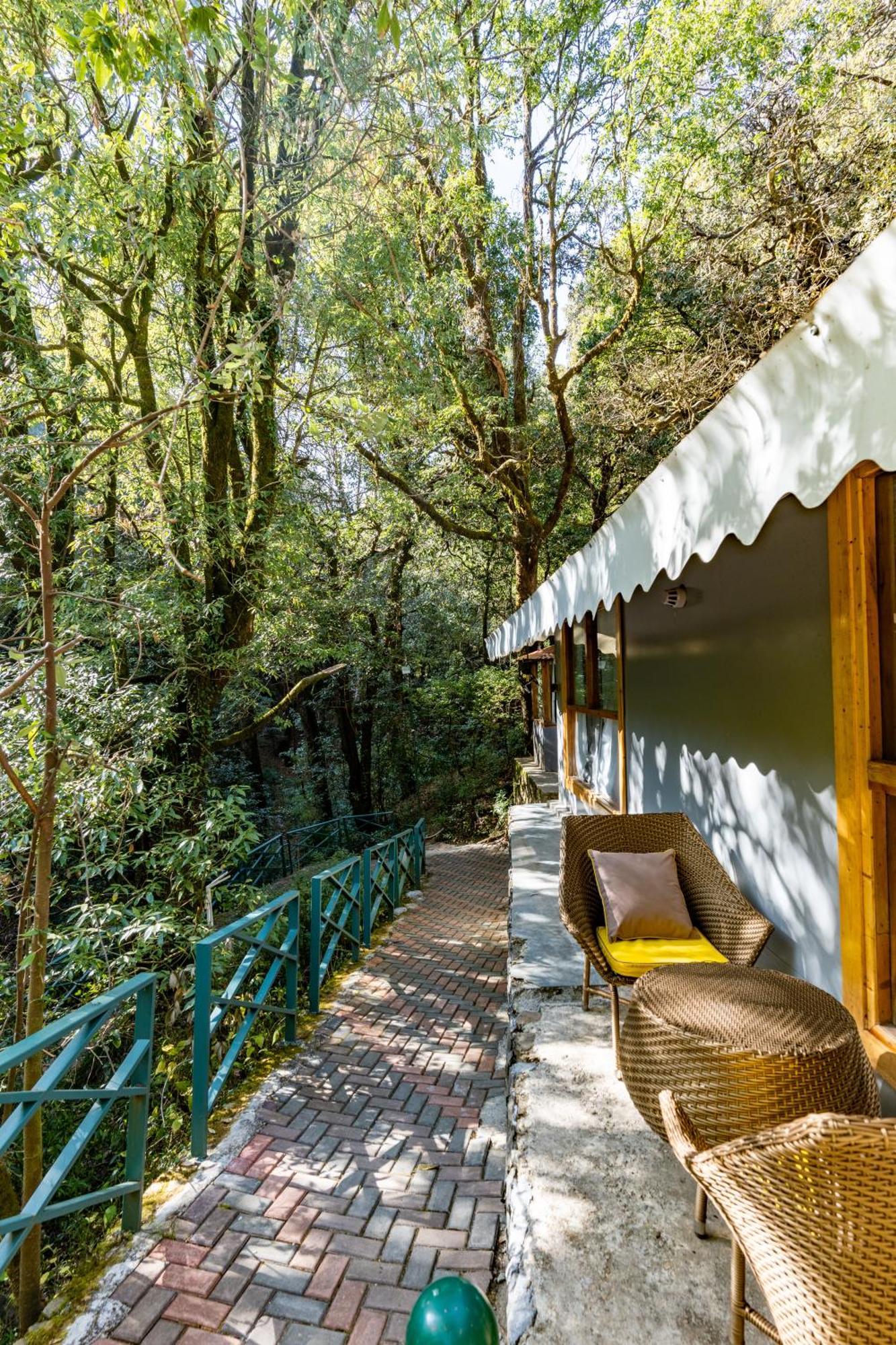 Ayar Jungle Resort Nainital Eksteriør bilde