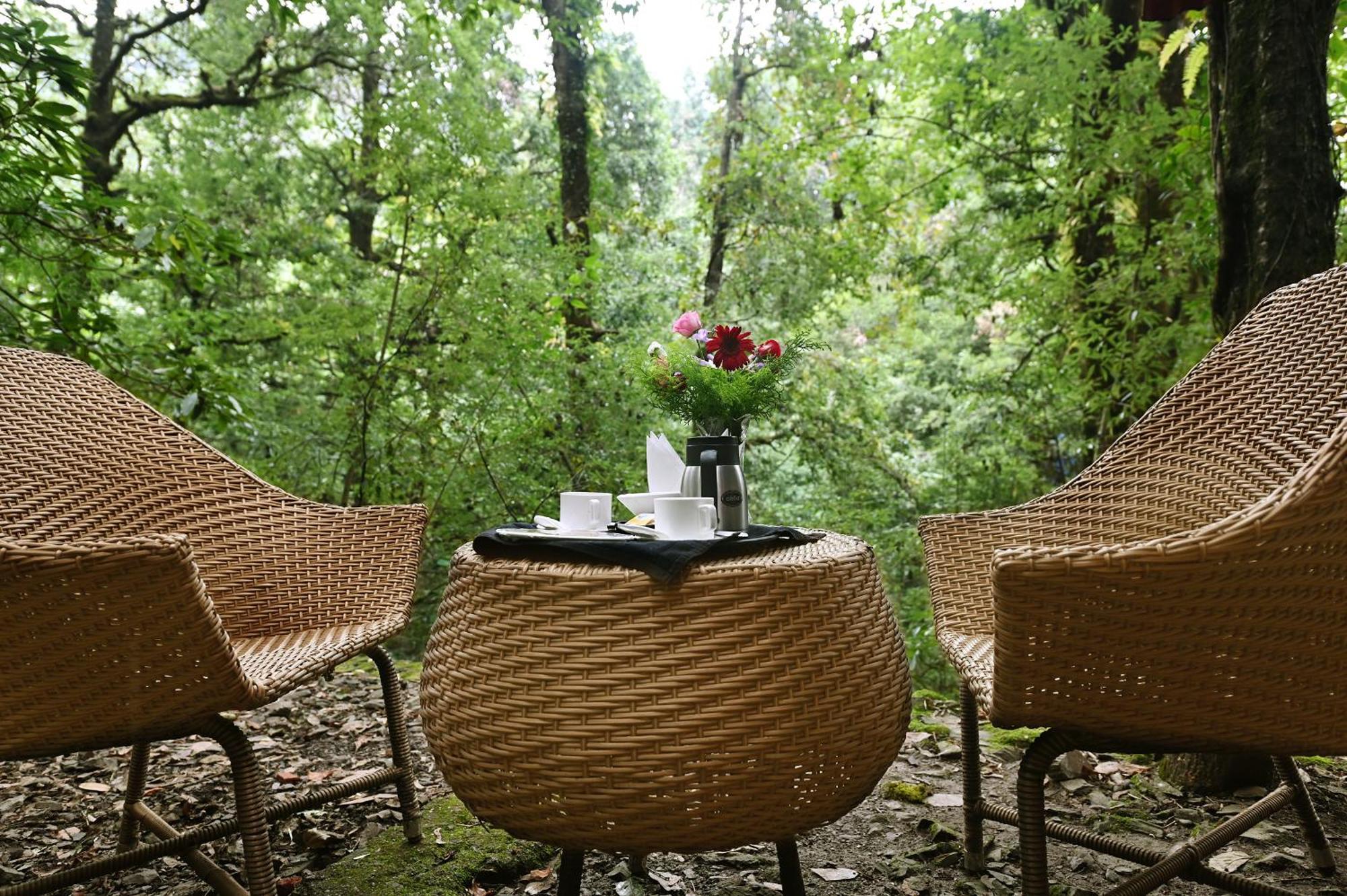 Ayar Jungle Resort Nainital Eksteriør bilde